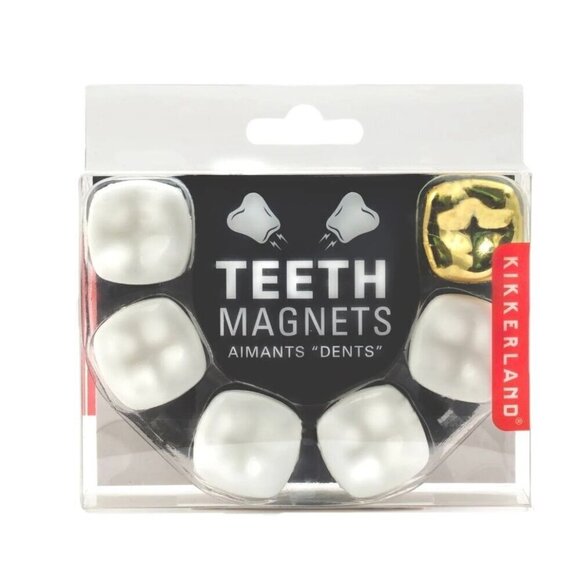 Teeth Magnets Kikkerland Fun Novelty Gift Dentist Hygienist Gold Crown - Picture 1 of 6